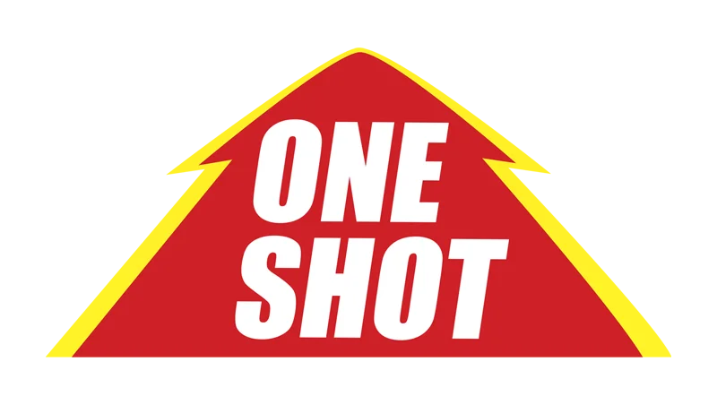 Oneshot